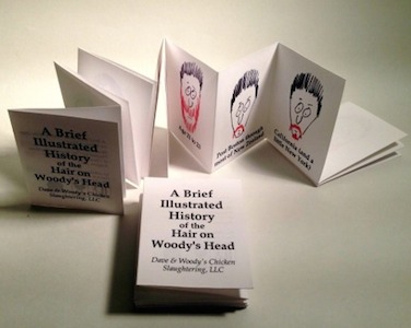 A Brief Illustrated History of the Hair on Woody's Head